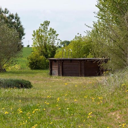La Decouverte, Jacuzzi, Sauna, Et Terrasse Avec Vue Sur Lac A La Campagne Entre Toulouse Et Auch Catonvielle Exterior foto